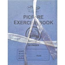 Exercise Book 48pages Picfare (Dozen)